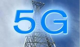 5G時(shí)代降臨 信息科技如何首先為長(zhǎng)壽賦能